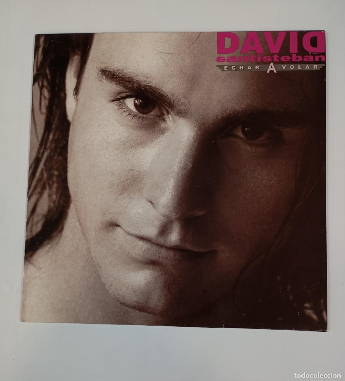 Discos de vinilo: David Santisteban &ndash; Echar A Volar. LP. TDKLP12 - Foto 1