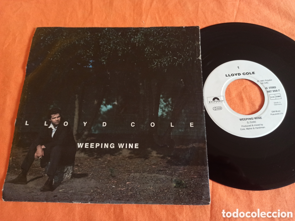 Discos de vinilo: Lloyd Cole, Weeping Wine 1991 UK - Foto 1