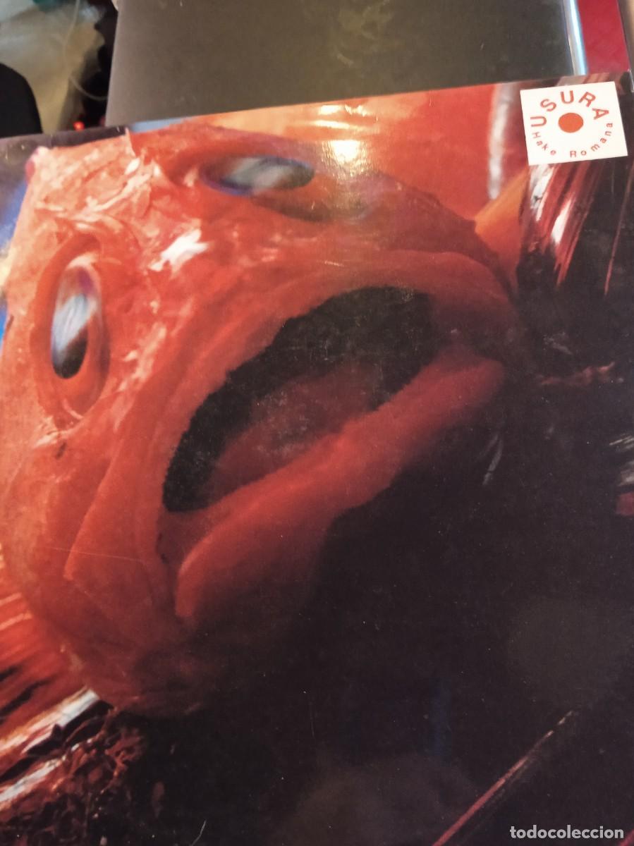 Discos de vinilo: USURA- HAKE ROMANA. LP. INDIE. - Foto 1