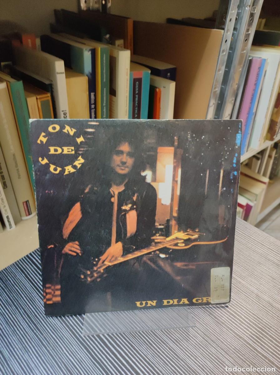 Discos de vinilo: Toni De Juan &ndash; Un Dia Gris - Foto 1