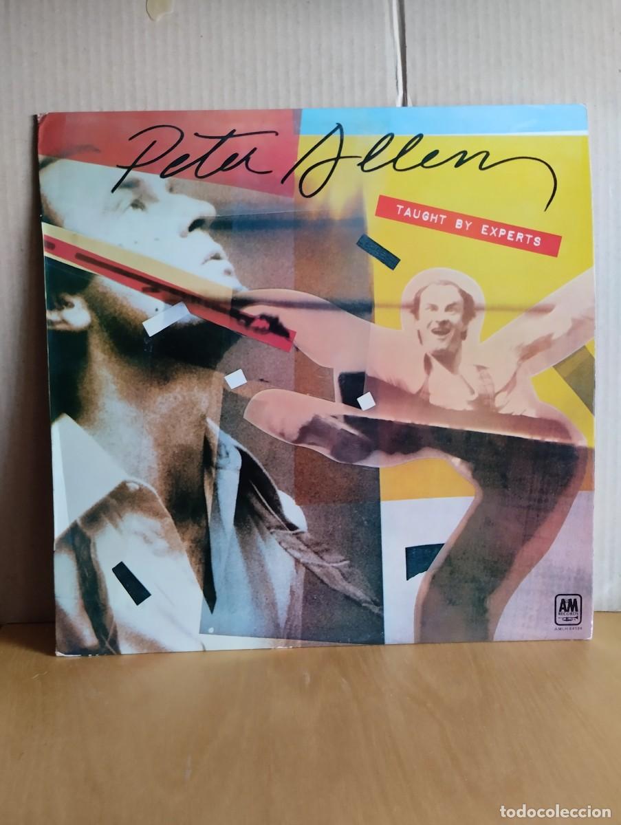 Discos de vinilo: PETER ALLEN ----- TAUGHT BY EXPERTS - Foto 1