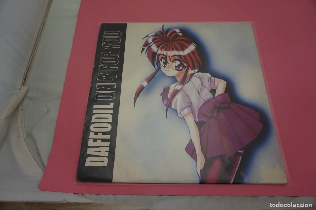 Discos de vinilo: MAXI SINGLE - DAFFODIL - ONLY FOR YOU - DISCO EN EXCELENTE ESTADO - Foto 1