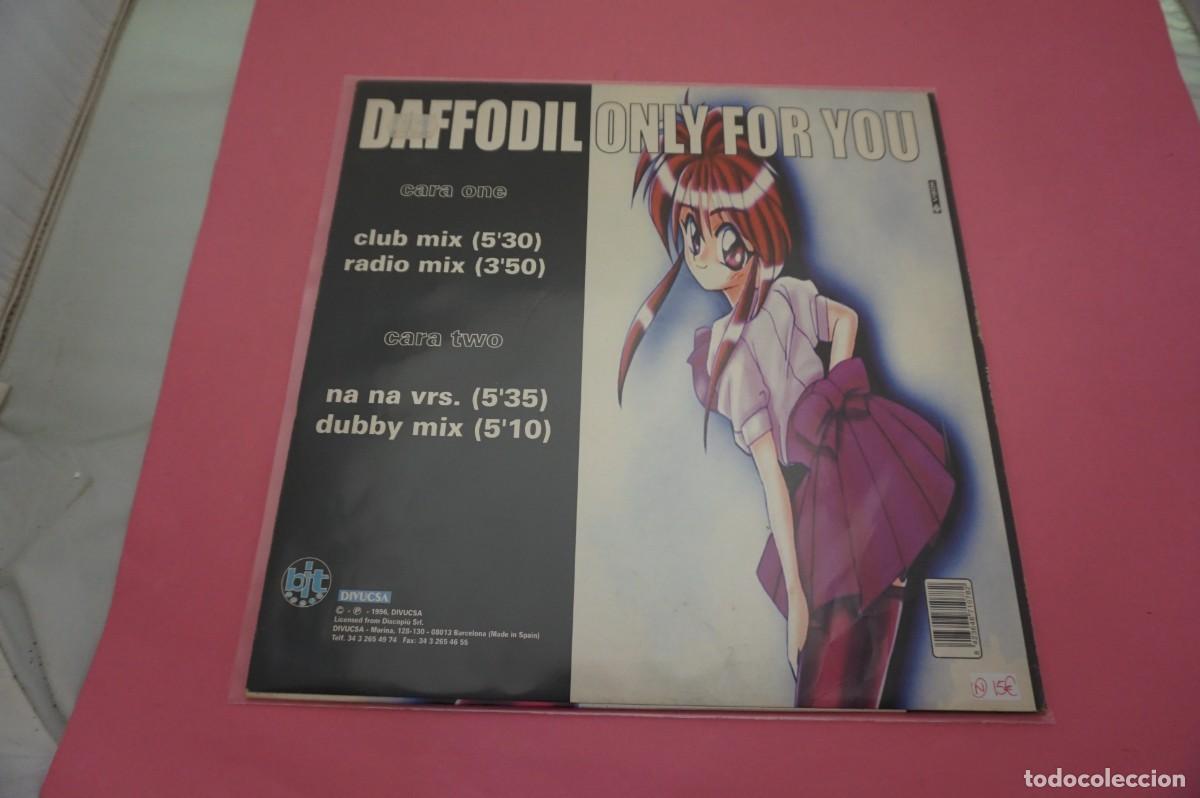 Discos de vinilo: MAXI SINGLE - DAFFODIL - ONLY FOR YOU - DISCO EN EXCELENTE ESTADO - Foto 3