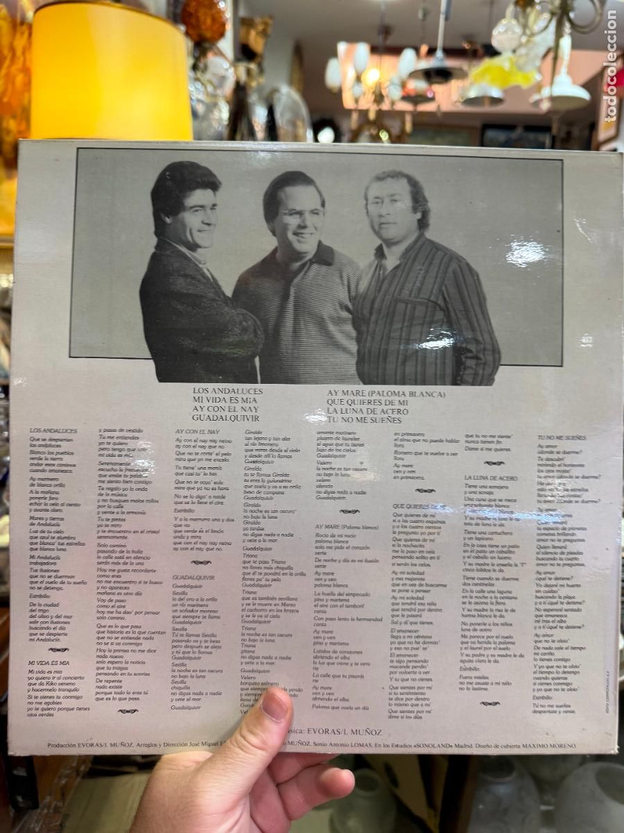 Discos de vinilo: LP SALMARINA - BORDAO - Foto 2
