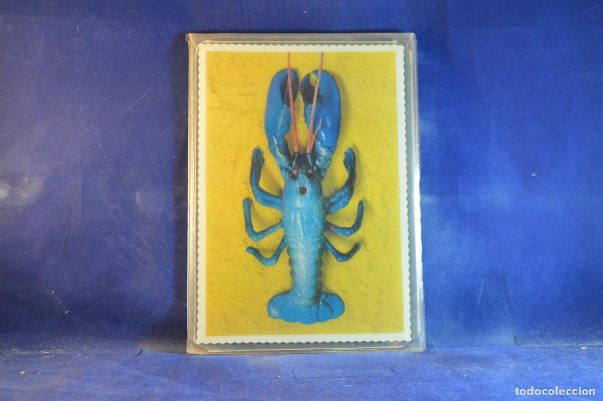 Discos de vinilo: THE B-52S &ndash; ROCK LOBSTER - SINGLE VINILO - Foto 5