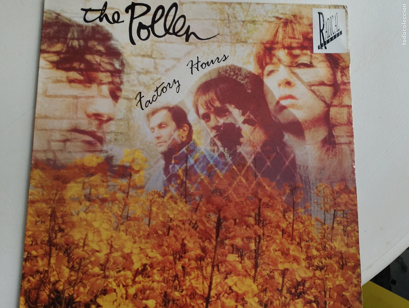 Discos de vinilo: The Pollen &lrm;&ndash; Factory Hours 1989 - Foto 1