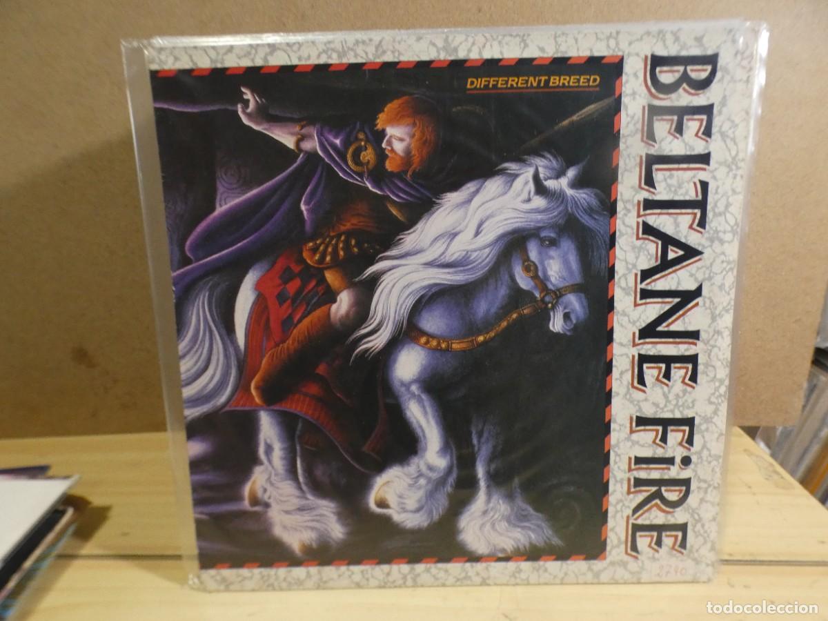 Discos de vinil: ARKANSAS1980 LOTT549 VINILO ESTADO CORRECTISIMO - BELTANE FIRE