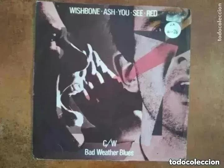 Discos de vinilo: WISHBONE ASH - YOU SEE RED (SG) 1978 - Foto 1