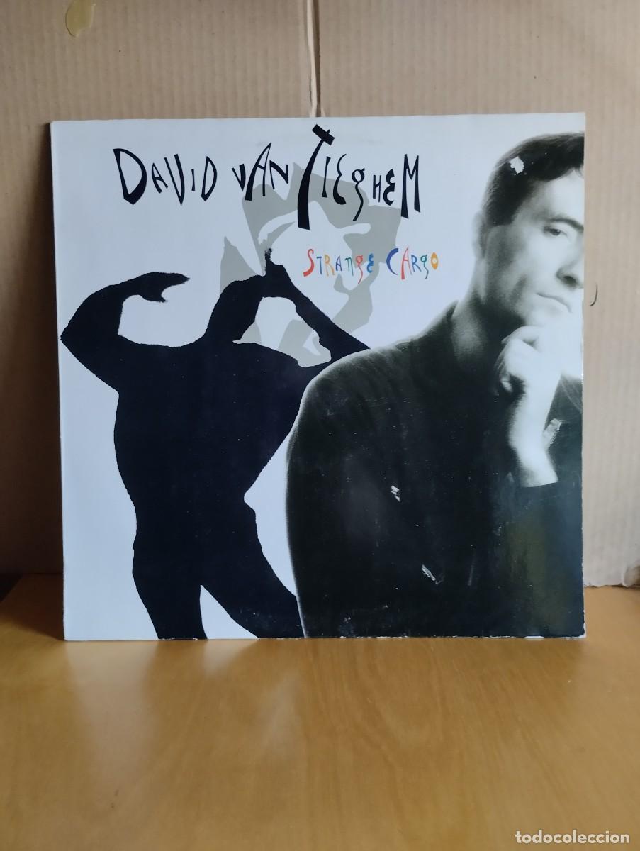 Discos de vinilo: DAVID VAN TIEGHEM ----- STRANGE CARGO - Foto 1