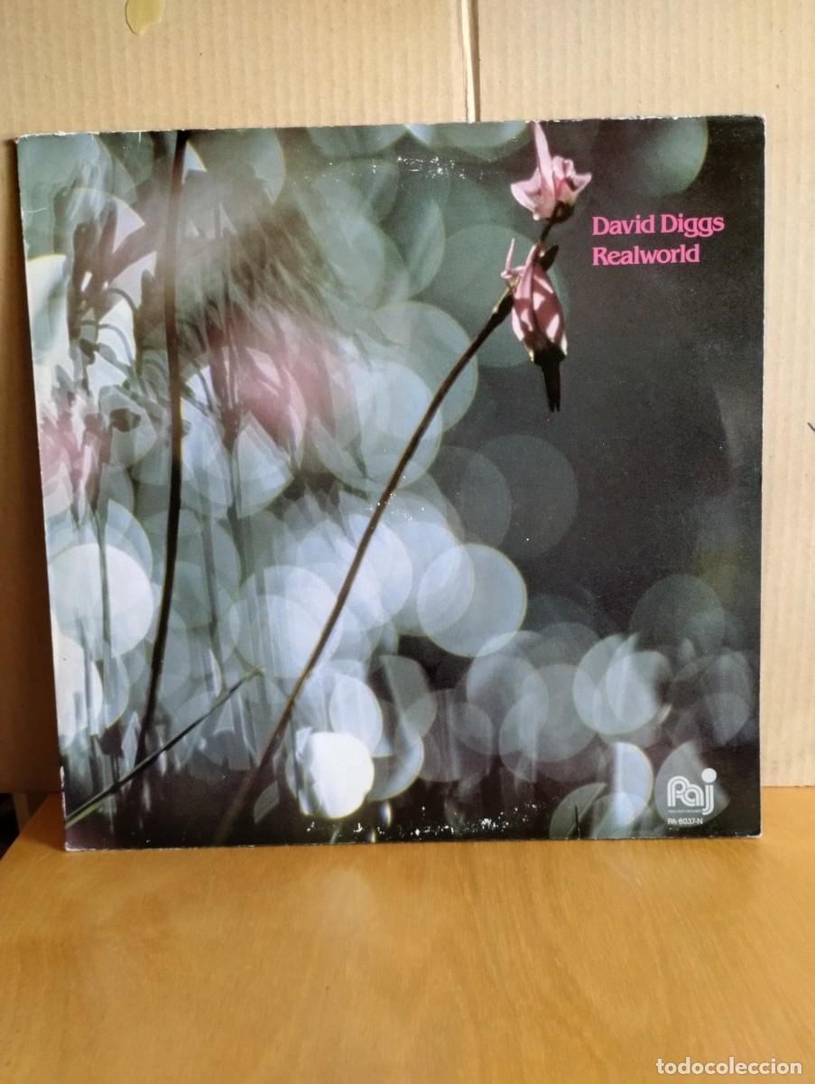 Discos de vinilo: DAVID DIGGS ----- REALWORLD - Foto 1
