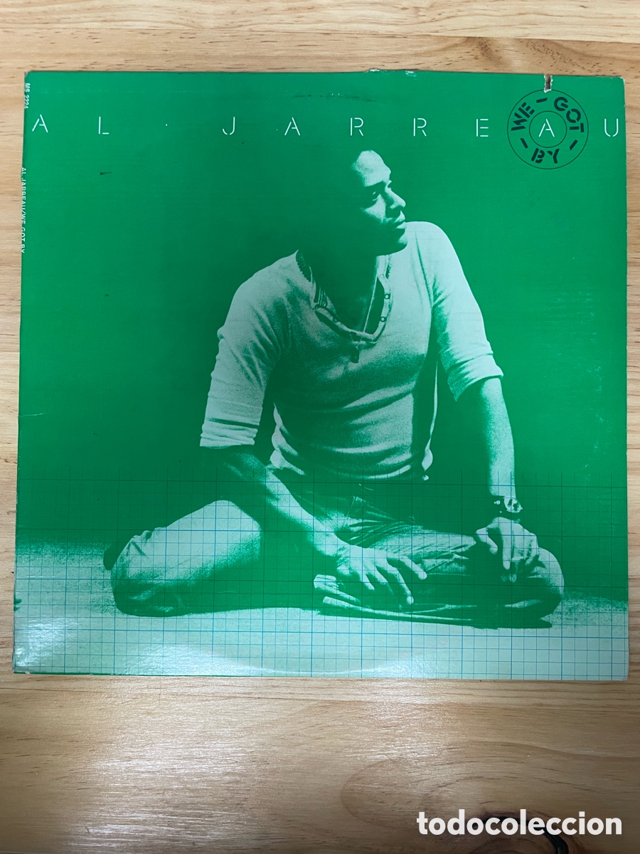 Discos de vinilo: Disco de vinilo. We-Got-By. Al Jarreau. Warner Bros 1975 - Foto 1