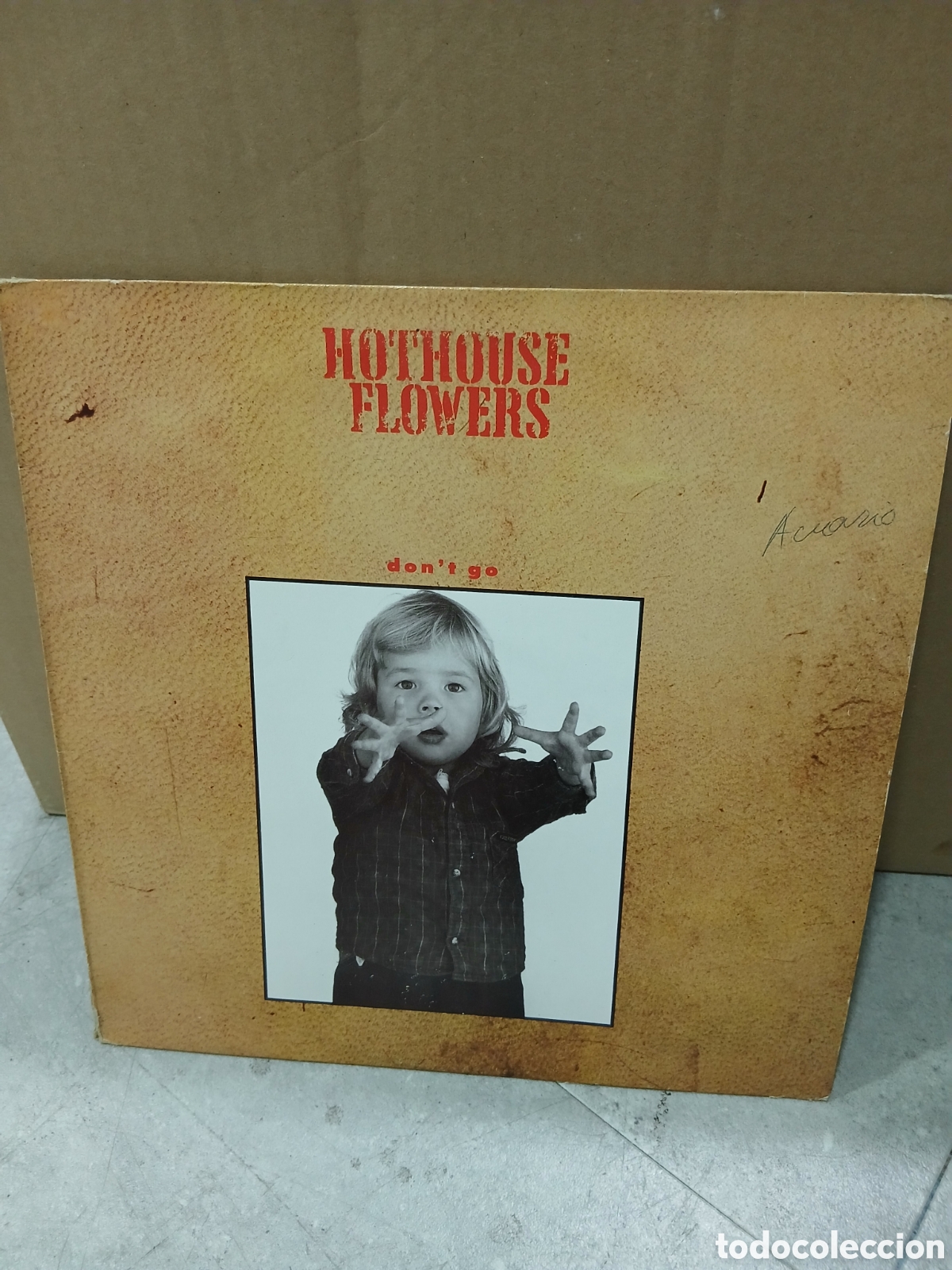 Discos de vinilo: LP. Hothouse Flowers. Dont go. - Foto 1