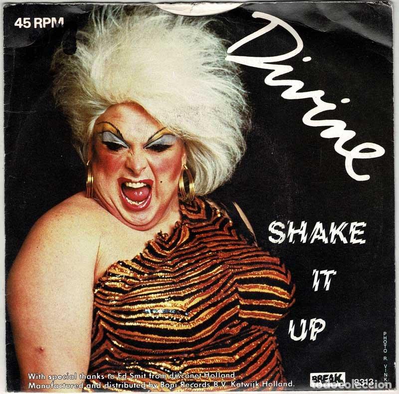 Discos de vinilo: Divine - Shake Up. Single - Foto 2