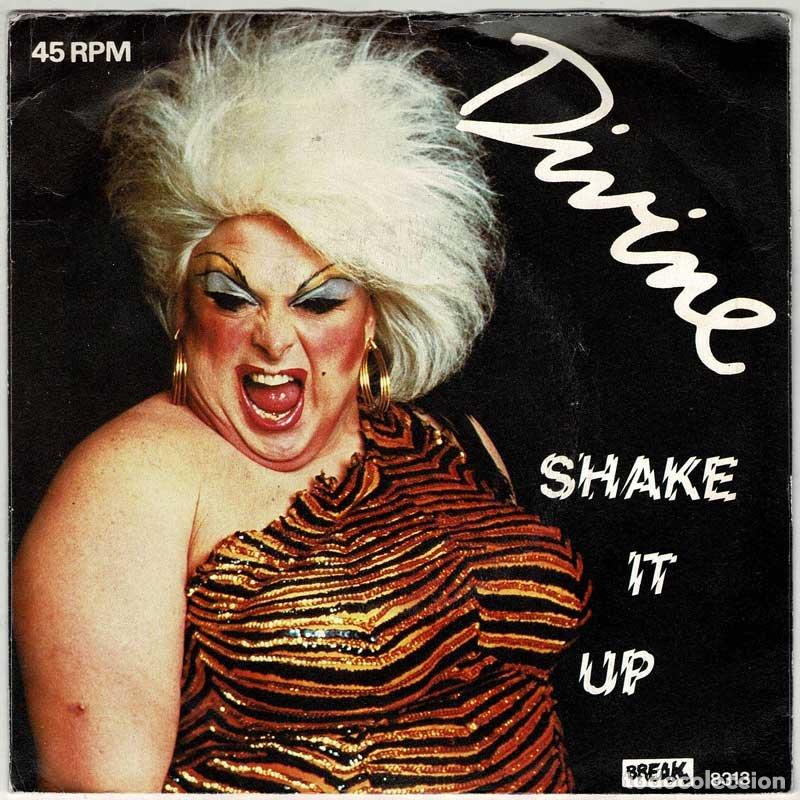 Discos de vinilo: Divine - Shake Up. Single - Foto 1
