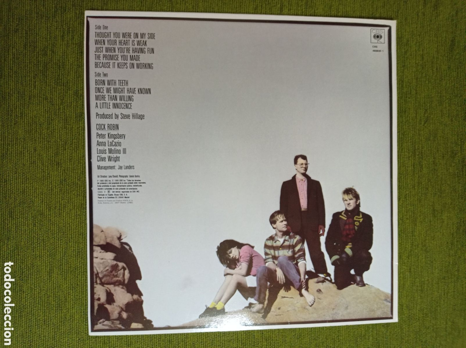 Discos de vinilo: VINILO DE COCK ROBIN - COCK ROBIN 1986 - Foto 2