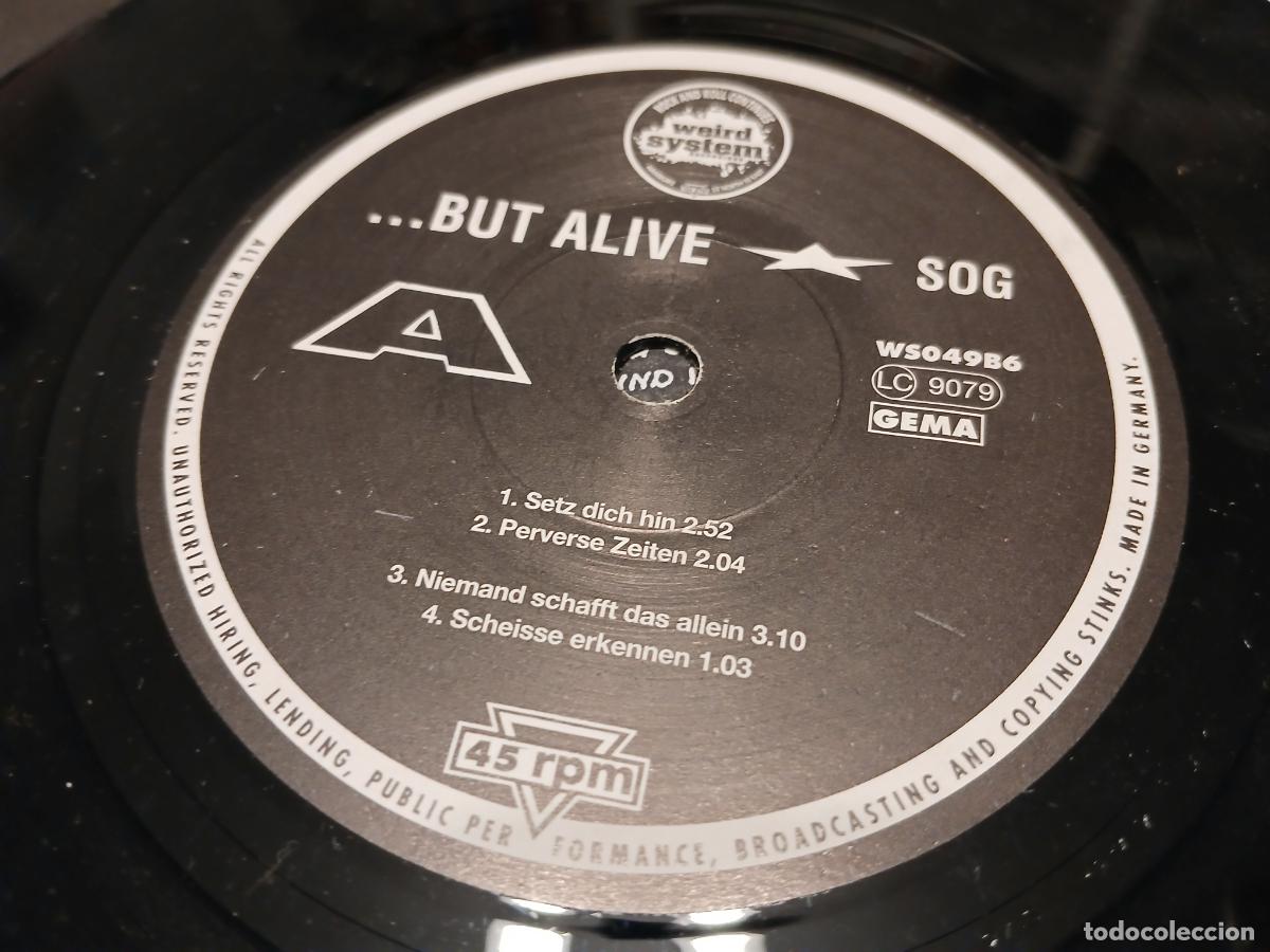 Discos de vinilo: ...But Alive &ndash; Sog- (1994) single 7&rdquo; - Foto 2