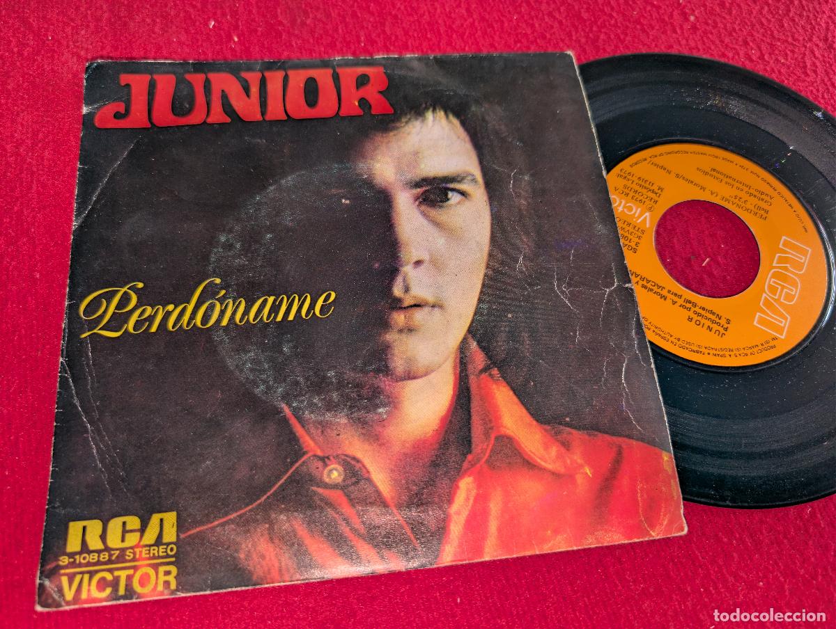 Discos de vinilo: JUNIOR Perdoname/The snake 7 SINGLE 1973 RCA - Foto 1