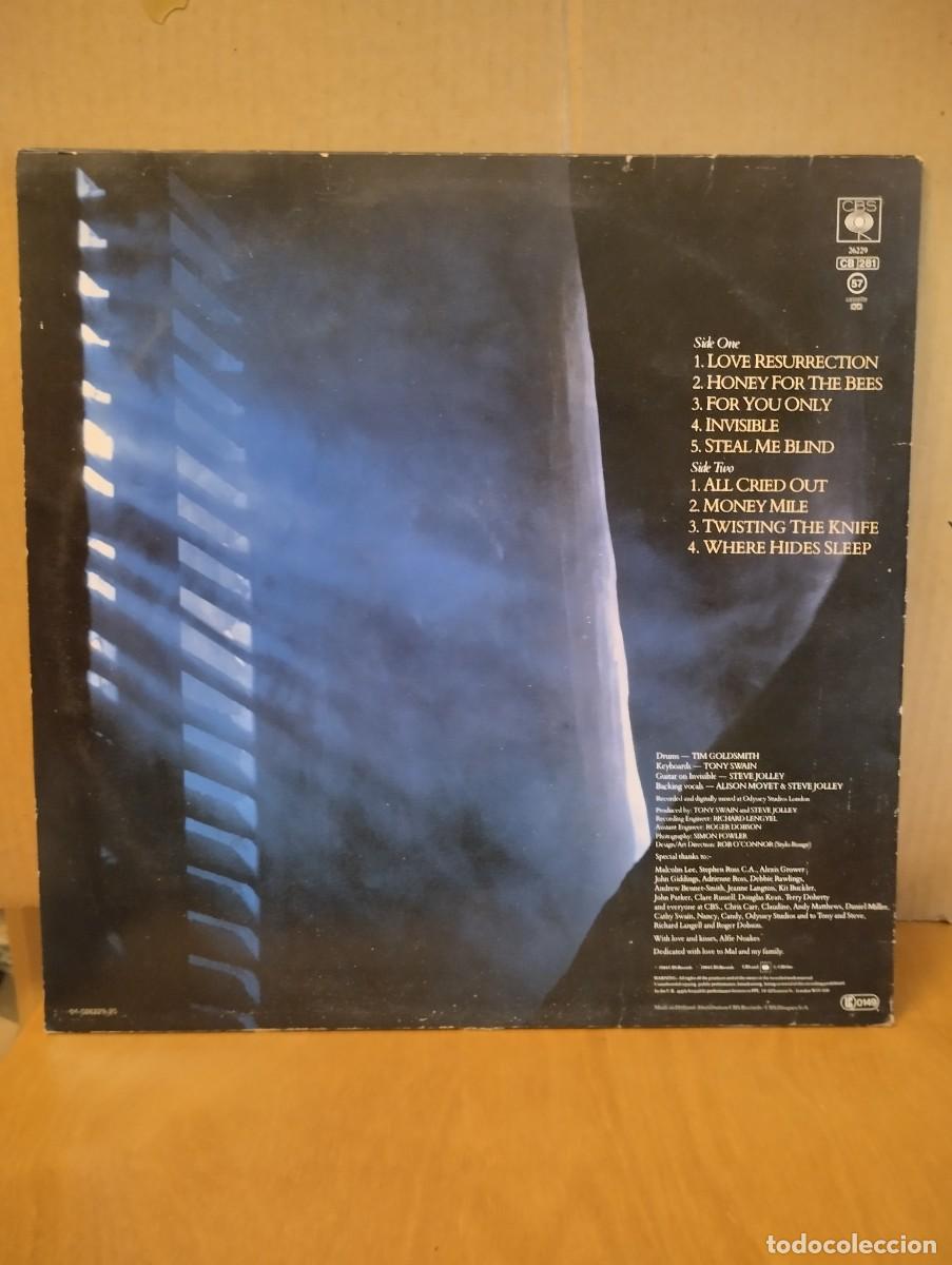 Discos de vinilo: ALISON MOYET ------- ALF - Foto 2