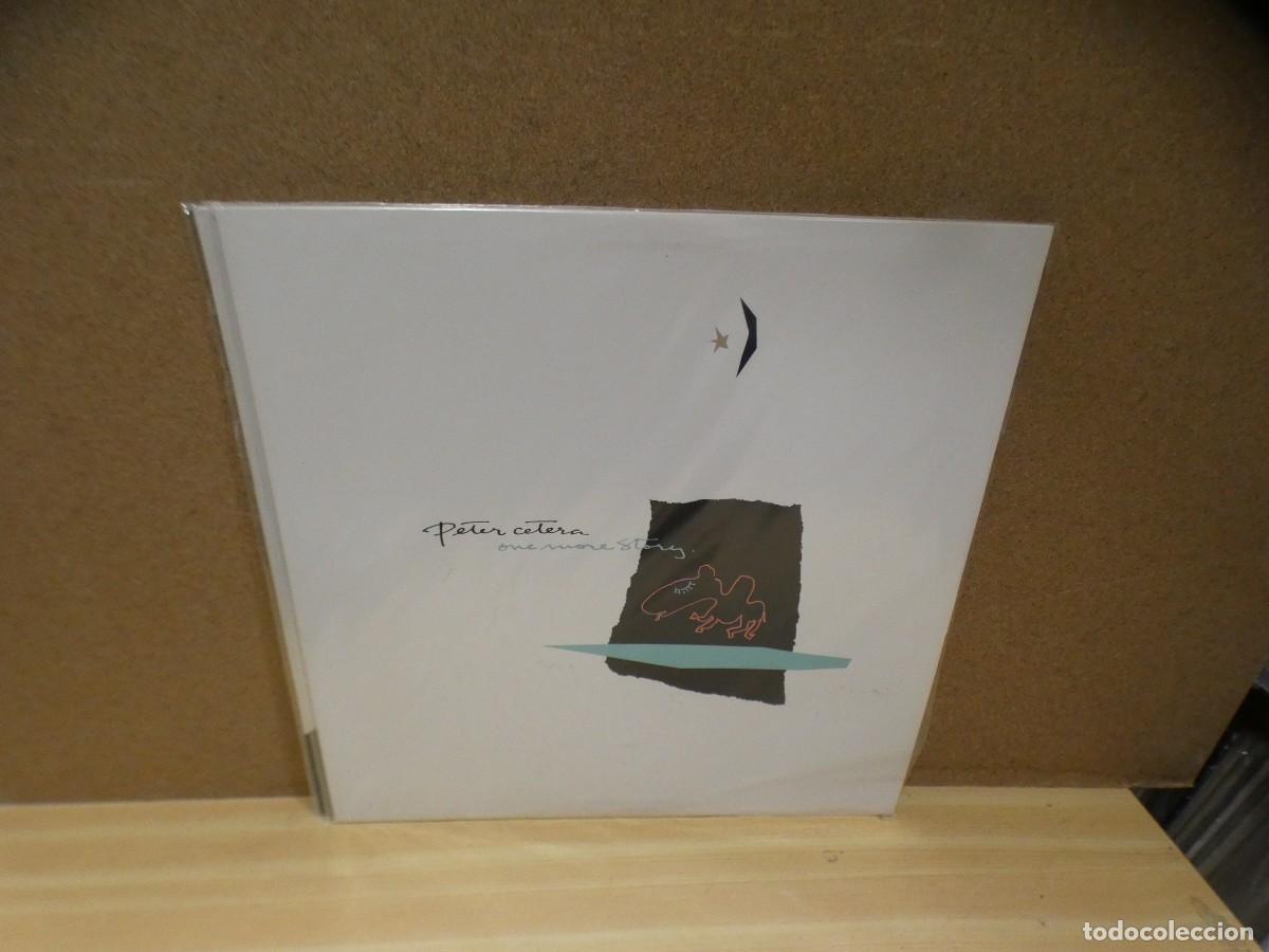 Discos de vinilo: ARKANSAS1980 LOTT589 LP ESTADO CORRECTISIMO - PETER CETERA - Foto 1