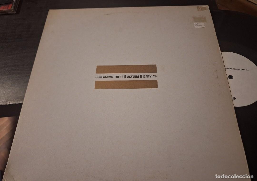 Discos de vinilo: SCREAMING TREES - ASYLUM 12&rdquo; MAXI UK NATIVE 1987 - ELECTRO INDUSTRIAL EXPERIMENTAL - Foto 1