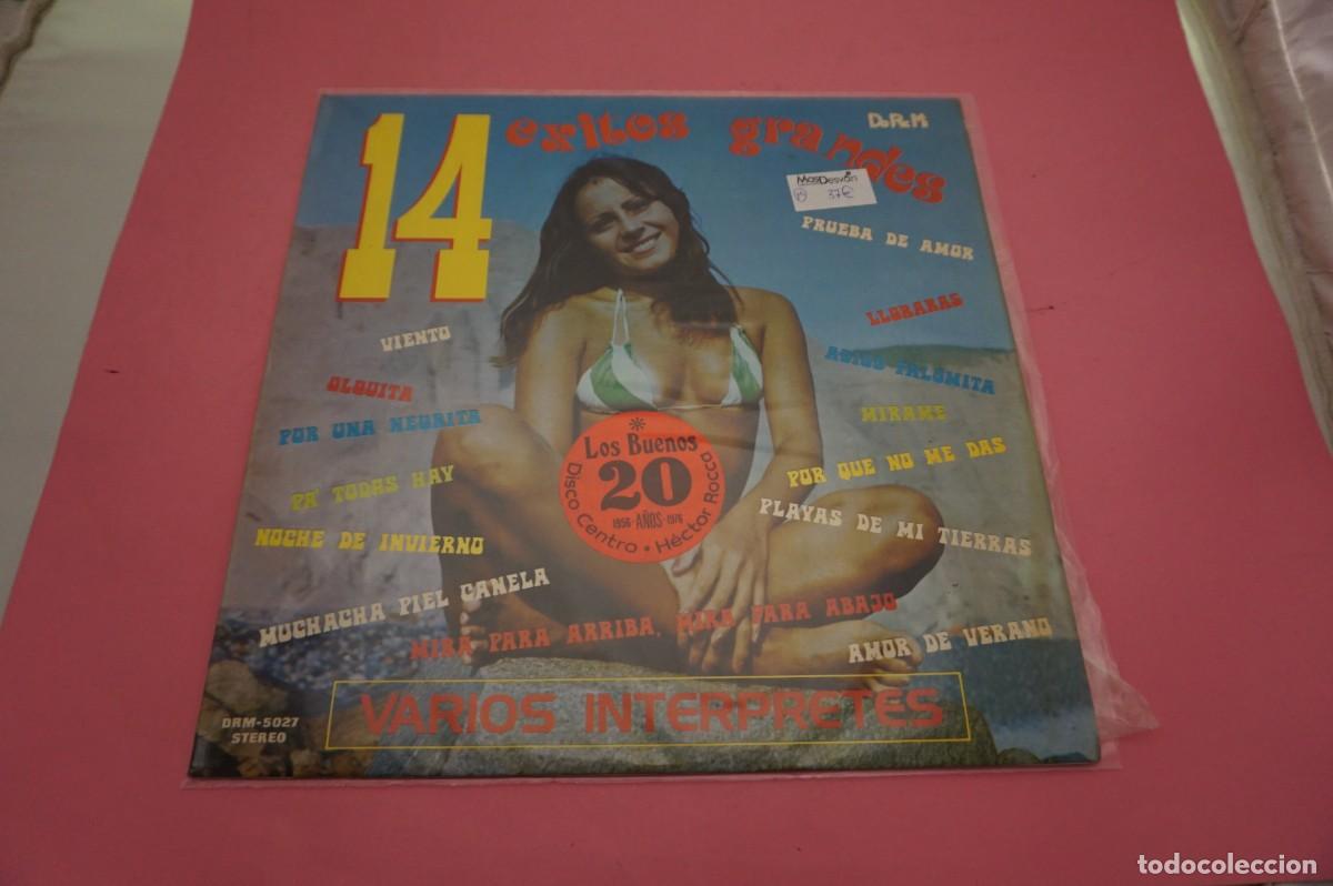 Discos de vinilo: LP - 14 EXITOS GRANDES - VARIOS INTERPRETES - DISCO COMO NUEVO - Foto 1