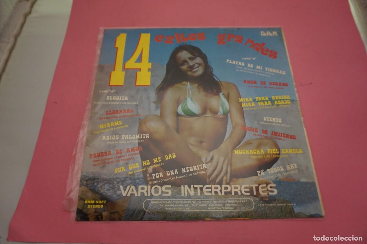 Discos de vinilo: LP - 14 EXITOS GRANDES - VARIOS INTERPRETES - DISCO COMO NUEVO - Foto 3