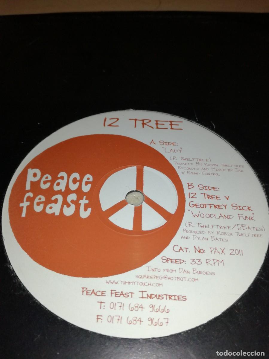 Discos de vinilo: 12 TREE-LADY-ORIGINAL 1999 - Foto 1