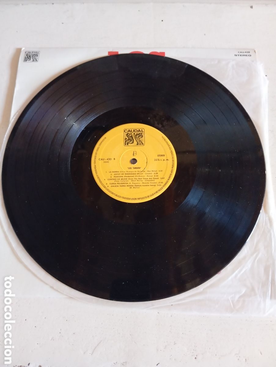 Discos de vinilo: LOS TAMARA - CAUDAL - 1976 - Foto 5