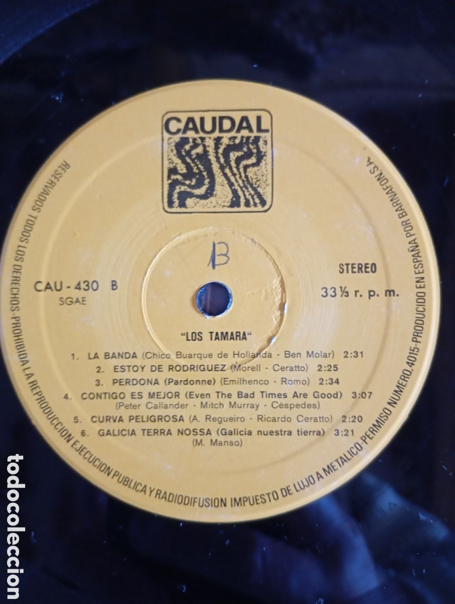Discos de vinilo: LOS TAMARA - CAUDAL - 1976 - Foto 6