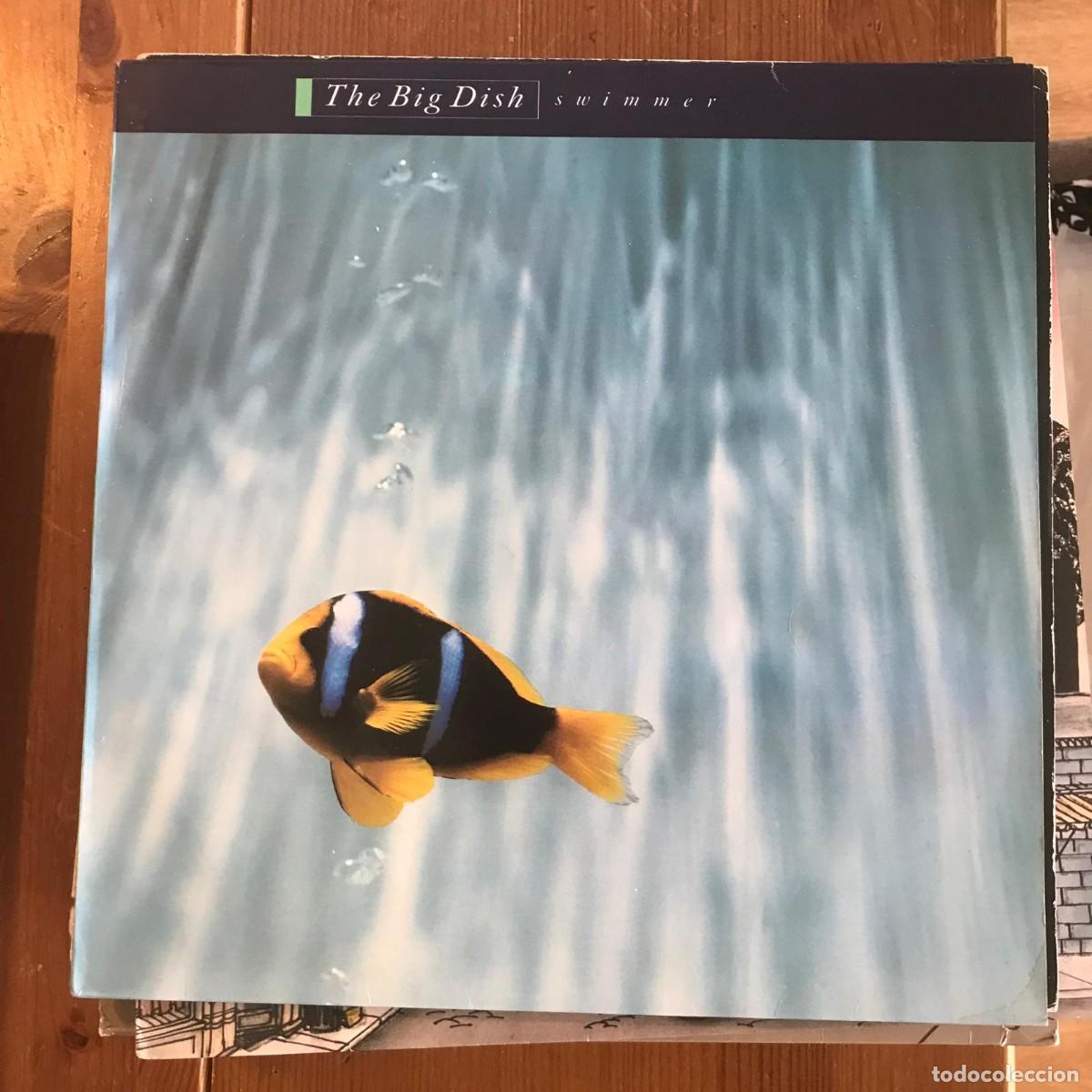 Discos de vinilo: BIG DISH - SWIMMER - LP VIRGIN 1986 - Foto 1