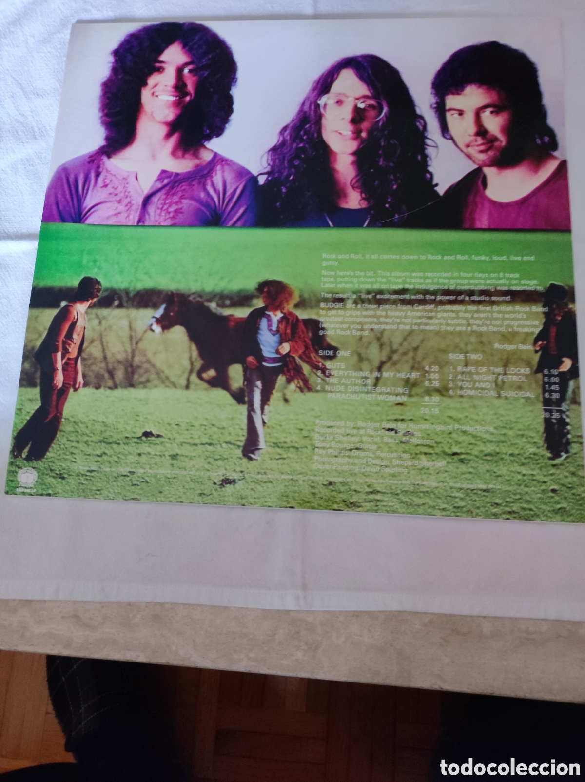 Discos de vinilo: BUDGIE - BUDGIE (Debut) - Foto 2