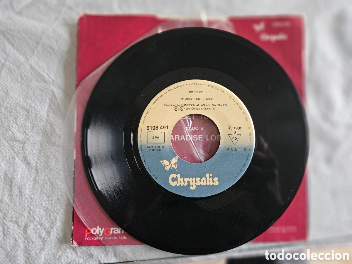 Discos de vinilo: ICEHOUSE WE CAN GET TOGETHER / PARADISE LOST - Foto 2
