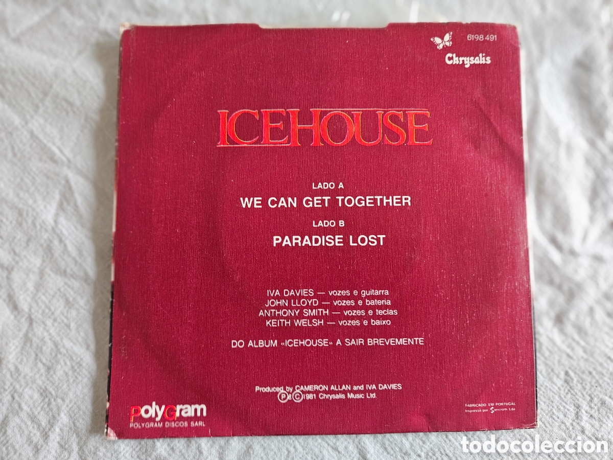 Discos de vinilo: ICEHOUSE WE CAN GET TOGETHER / PARADISE LOST - Foto 3