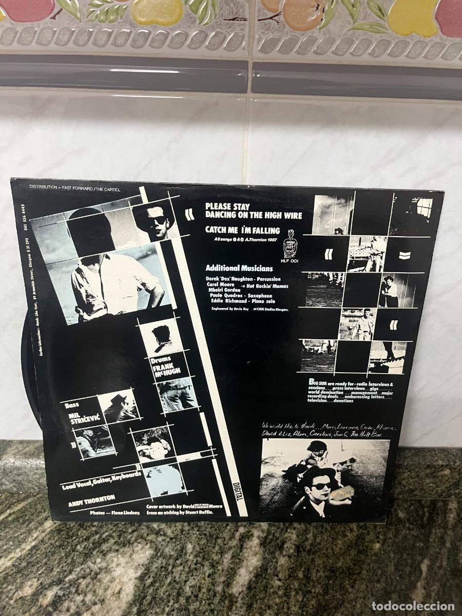 Discos de vinilo: Big Sur Catch Me Im Falling - Foto 2