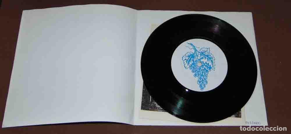 Discos de vinilo: IRIS - APPENDIX EP - ALIENOR RECORDS - FRANCE 1993 - Foto 5