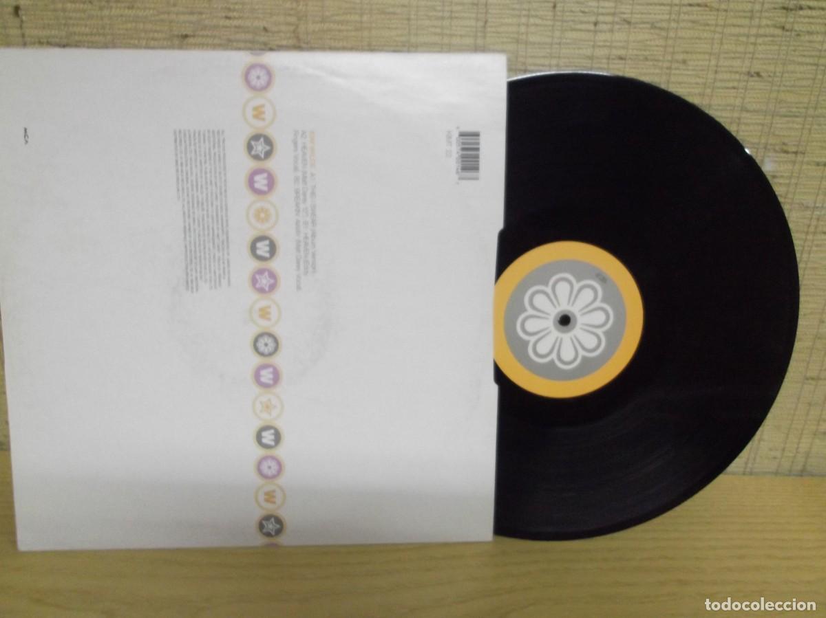 Discos de vinilo: Kim Wilde - This I swear. MCA 1995 - Foto 2
