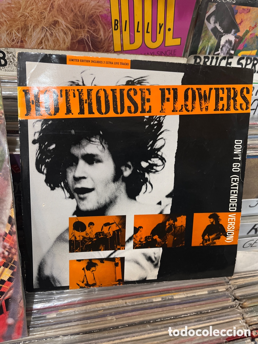 Discos de vinilo: hothouse flowers dont go extended versi&oacute;n - Foto 1