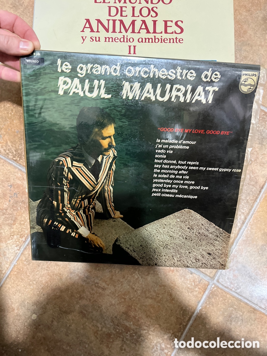 Disques de vinyle: Blas29A Vinilo le grand orchestre de PAUL MAURIAT