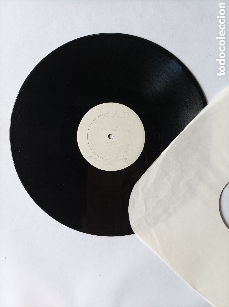 Discos de vinilo: THE BASIC. HOUSE TECHNO DANCE. DISCO VINILO. - Foto 3