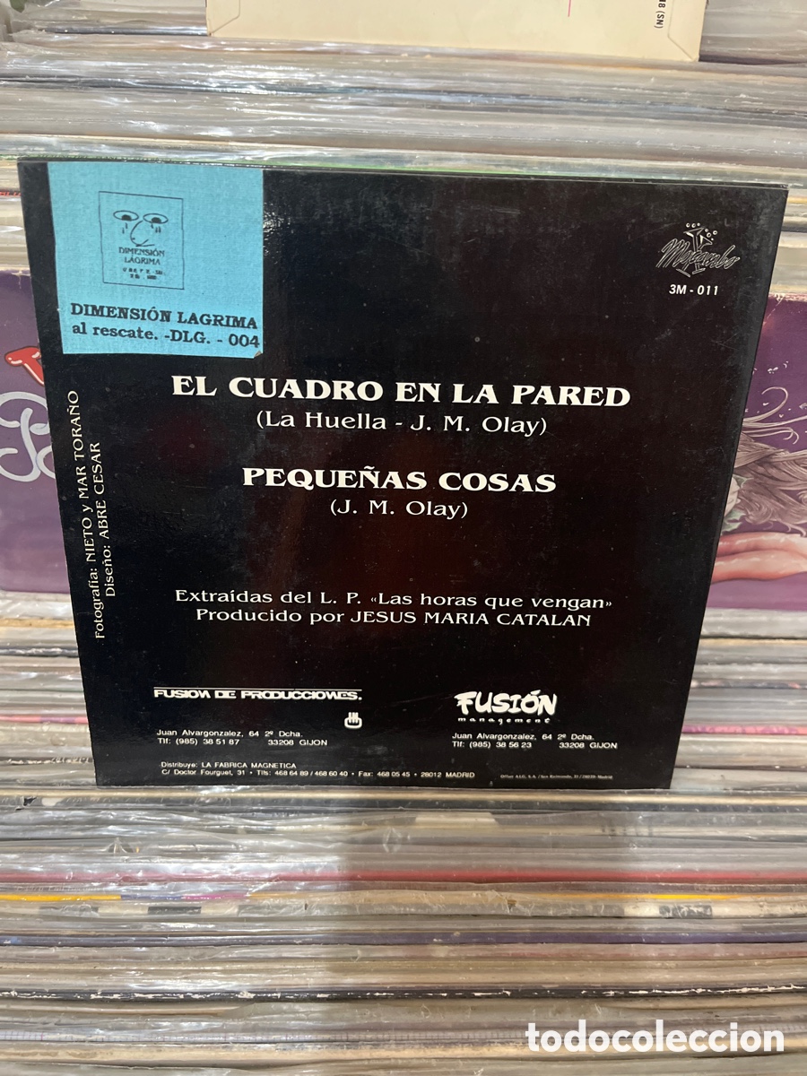 Discos de vinilo: el cuadro en la pared la huella - Foto 2