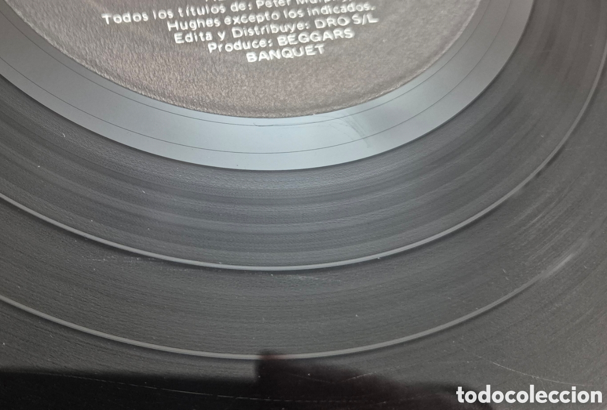 Discos de vinilo: Peter Murphy &ndash; Should The World Fail To Fall Apart LP - Foto 11