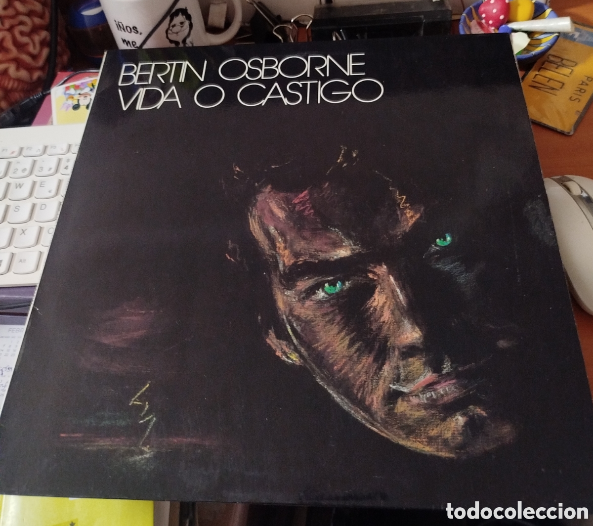 Discos de vinilo: Bert&iacute;n Osborne - Vida O Castigo - Foto 1
