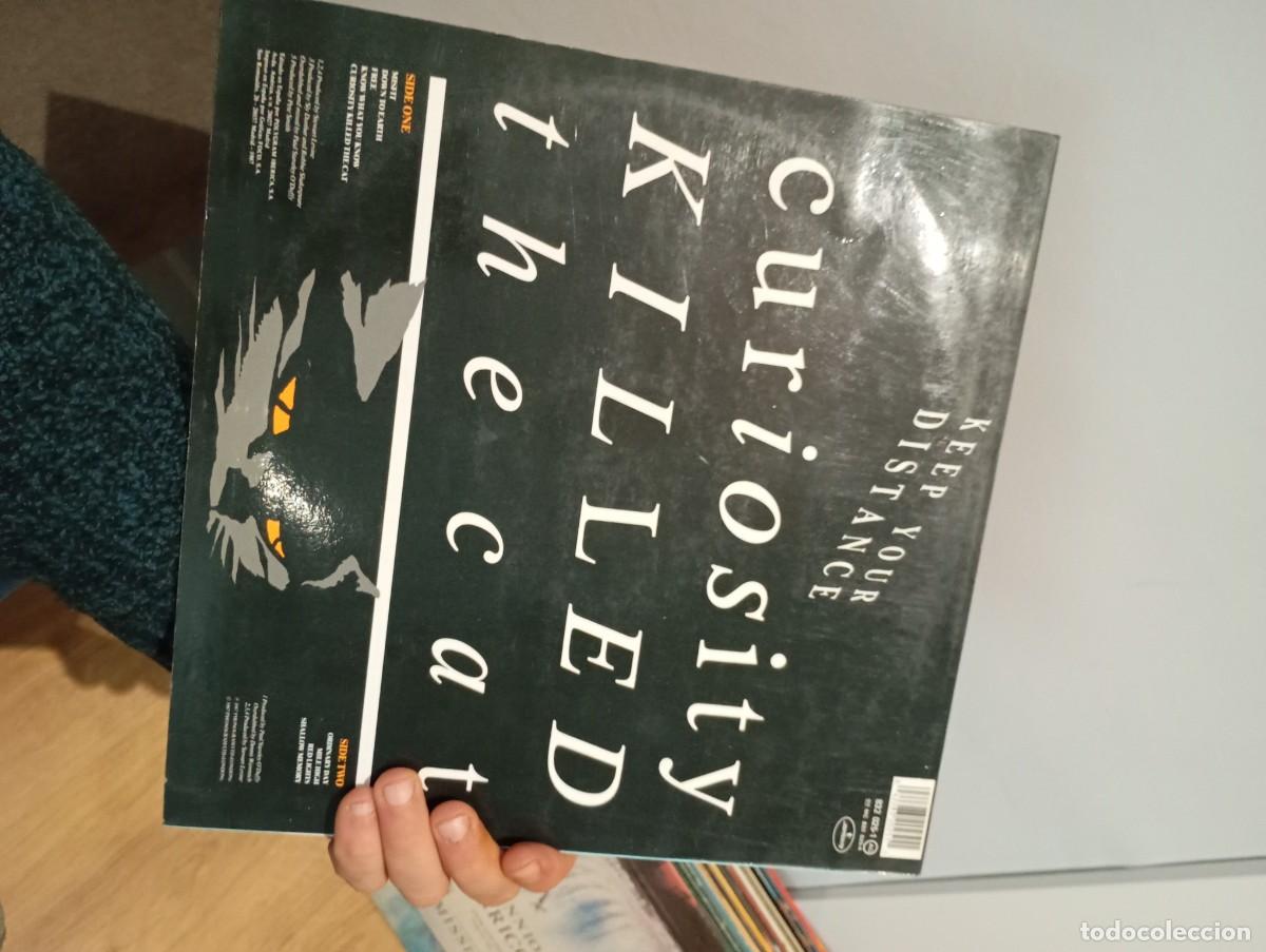 Discos de vinilo: CURIOSITY KILLED KEEP YOUR DISTANCE VG++ - Foto 2