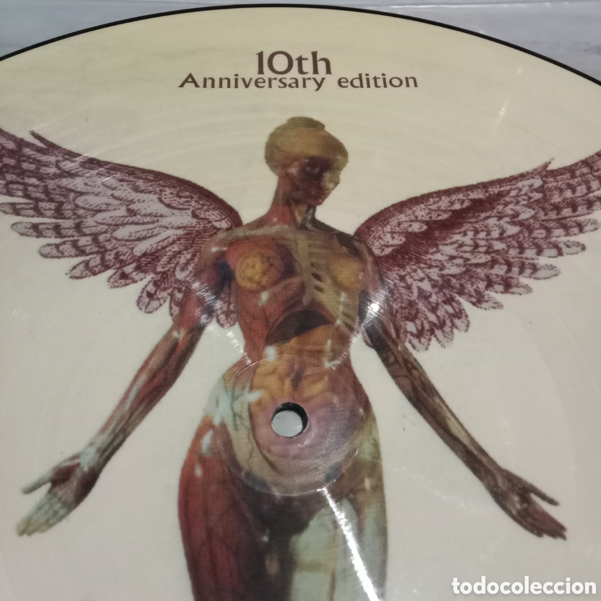 Discos de vinilo: NIRVANA - IN UTERO - PICTURE DISC 12&rdquo; - Foto 3