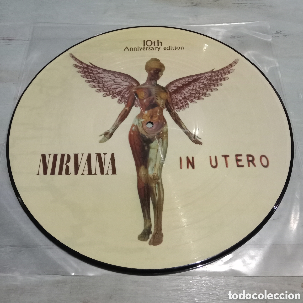 Discos de vinilo: NIRVANA - IN UTERO - PICTURE DISC 12&rdquo; - Foto 1