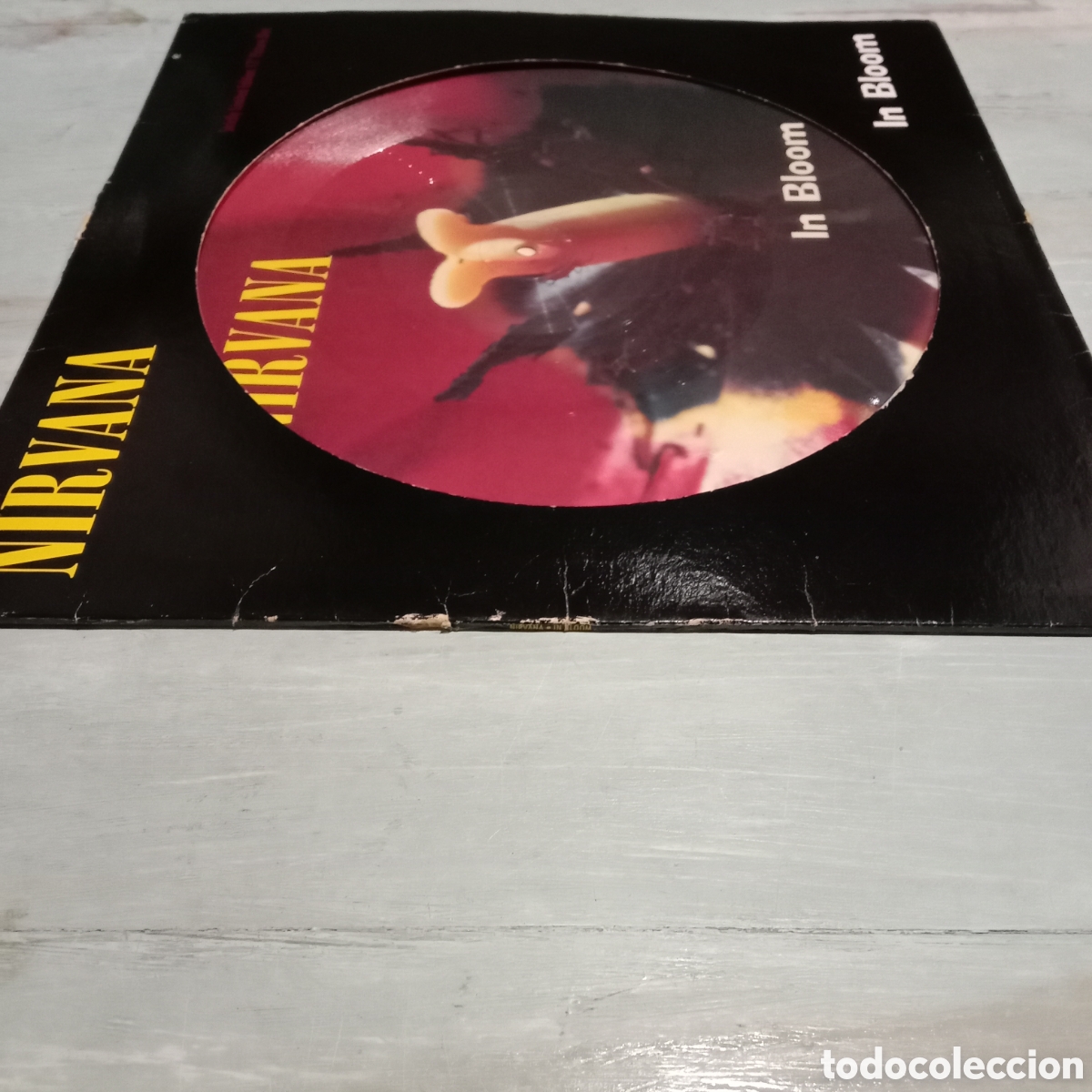 Discos de vinilo: NIRVANA - IN BLOOM - PICTURE DISC 12&rdquo; - Foto 3