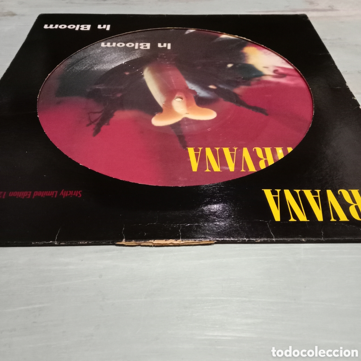 Discos de vinilo: NIRVANA - IN BLOOM - PICTURE DISC 12&rdquo; - Foto 4