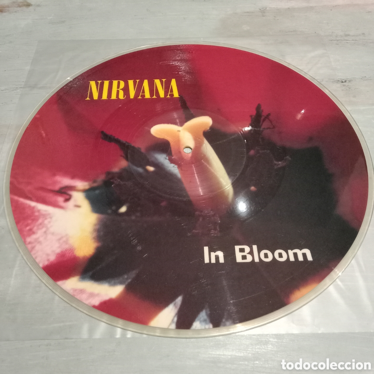 Discos de vinilo: NIRVANA - IN BLOOM - PICTURE DISC 12&rdquo; - Foto 5