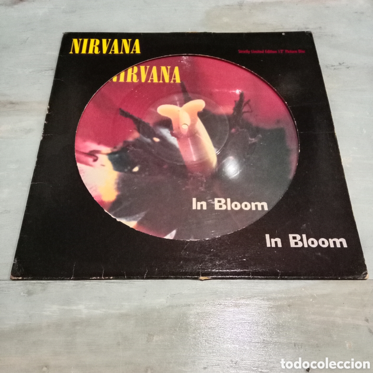 Discos de vinilo: NIRVANA - IN BLOOM - PICTURE DISC 12&rdquo; - Foto 1