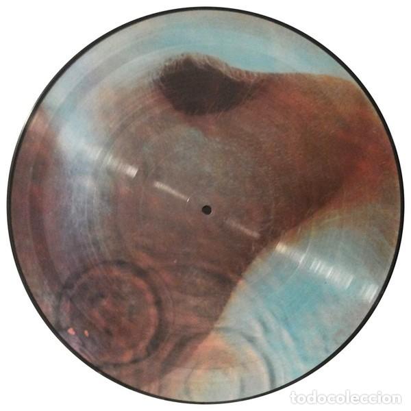 Discos de vinilo: Pink Floyd &ndash; Meddle picture disc lp